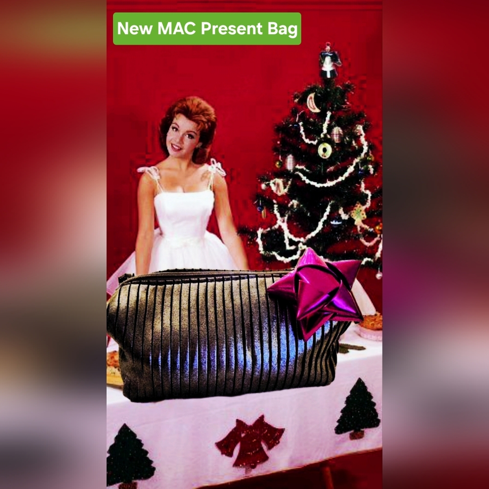 NEW MAC Metallic Makeup Bag